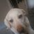 Pj Cosmano's profile image