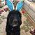 Barb Pittner's profile image