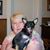 Lynn Danicek's profile image