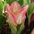 Tina Gauthier's profile image