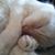 Deborah Brenenstuhl's profile image