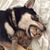 Paula Sherrin's profile image