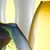 Lynn Anderson's profile image