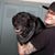 Shawn Bartle's profile image