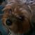 Sandi Schaeff's profile image