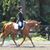 Kelly Scotthanson's profile image