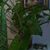 Gabriel Brizuela's profile image