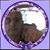 Buffy Ostwalt's profile image