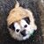 Susan Ohmer's profile image