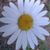 Charlotte Willson's profile image