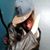 Indigo Nadler's profile image