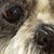 Michaeline Gouin's profile image