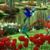 Christine Dakis's profile image