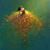 Kathy MW's profile image