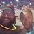 Lori Lumadue's profile image