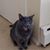 Sandy Hope-Briner's profile image