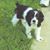 Jennifer Van Ingen's profile image