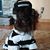 Mary Fogg's profile image