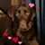 Catherine Nelson's profile image