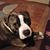 John Hamm's profile image