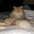 Polly Michaels's profile image