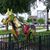 Tracy Bennett Smith's profile image
