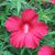 Barb Matulich's profile image