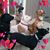 Linda Pallas's profile image