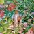 Linda Carragher Bourne's profile image