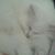 Tami Ludtke's profile image