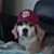 Rob Durrance's profile image