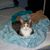 Janet Berry-Cadle's profile image