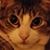 Jann Knight's profile image