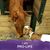 Tamyra Dawn Templeton's profile image