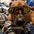 Jeanne Sniegowski's profile image