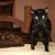 Sivi Conic's profile image
