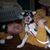 Brian Perkinson's profile image
