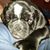 Phillip Turchen's profile image