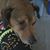 Carol Gardner's profile image