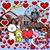 Mayra Castellanos's profile image