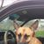 Sandy Wadlington's profile image