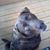 Diana Brosky's profile image