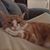 Margaret Sherrod LaBarba's profile image