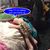 Sylvia Boudreaux's profile image