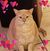 Perla Mahadeo's profile image
