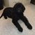 Nancy Burget's profile image