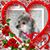 Manuel Vega's profile image