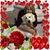Donna Salisbury Ward's profile image