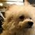 Mike Ratliff's profile image