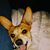 Lyndsay Watt's profile image